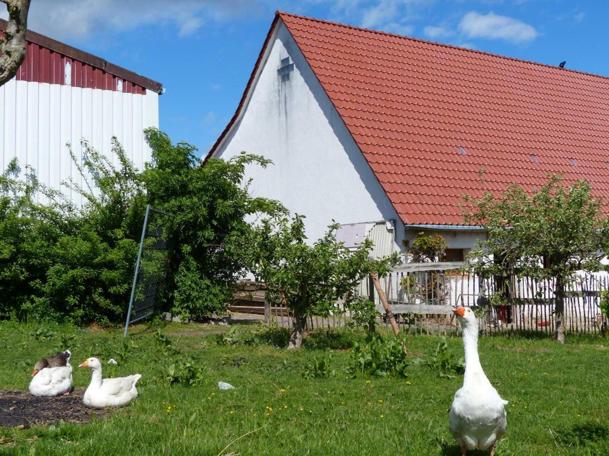 Die Gefaehrten Oberhausen  Ngoại thất bức ảnh